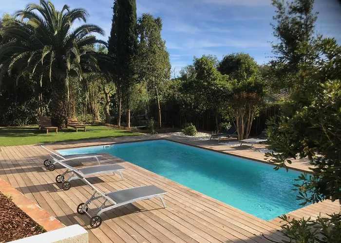 Villa De Standing Dans Le Golfe De Saint-tropez Grimaud
